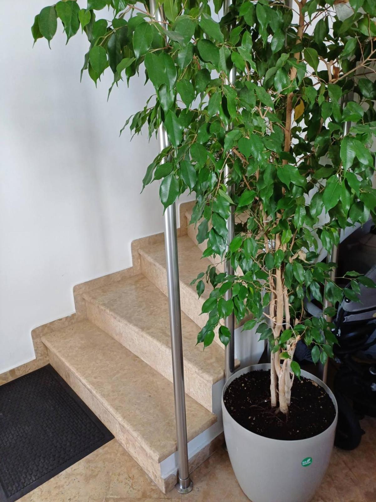 Luxury Apartment 阿马林索斯 外观 照片